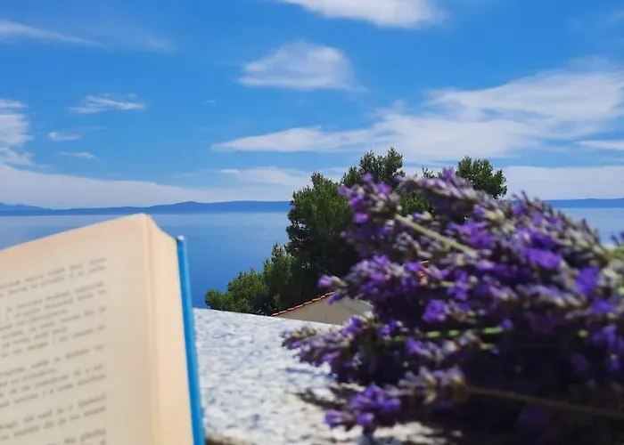 Saric K&m Baska Voda